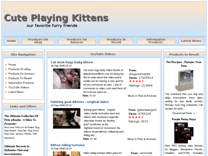 www.playing-kittens.info