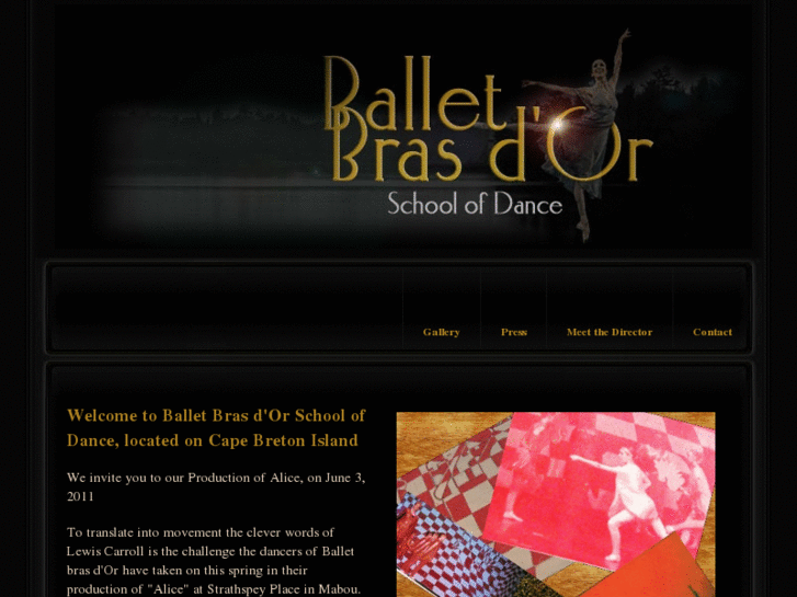 www.balletbrasdor.com