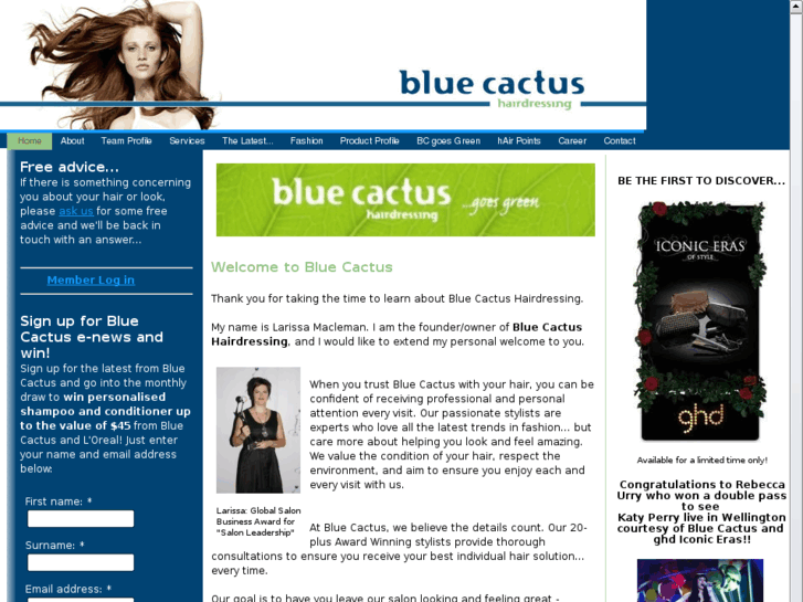 www.bluecactus.co.nz