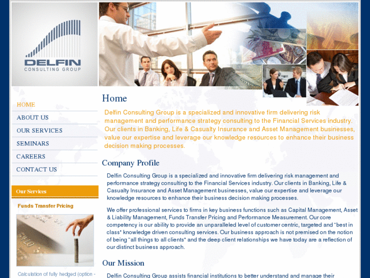 www.delfinconsulting.com