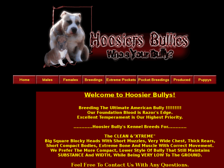 www.hoosierbullies.com