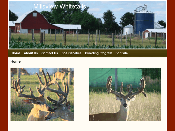 www.millsviewwhitetails.net