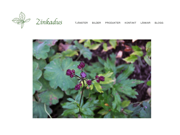 www.zinkadus.com