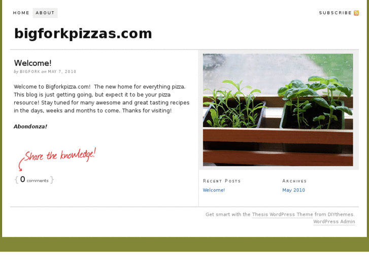 www.bigforkpizzas.com