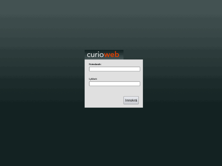 www.curioweb.is