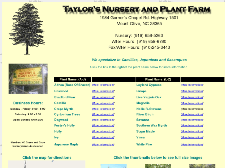 www.taylorsnurseryandplantfarm.com