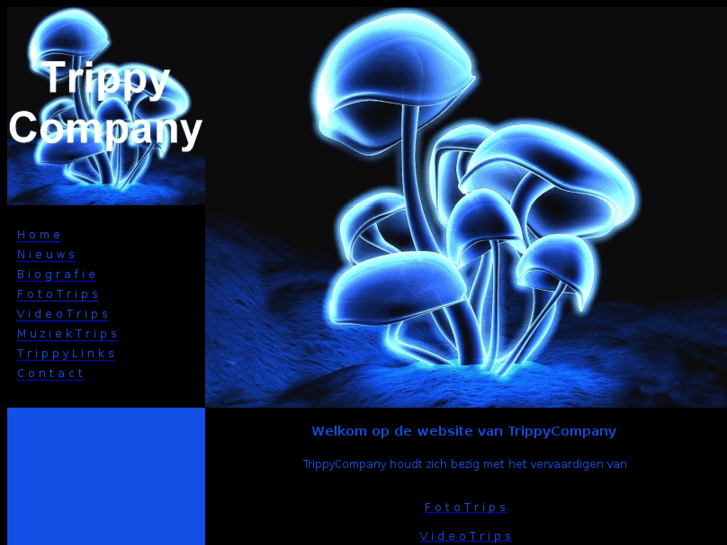 www.trippycompany.com