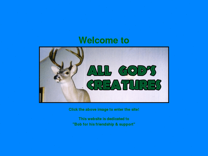 www.allgodstaxidermy.com