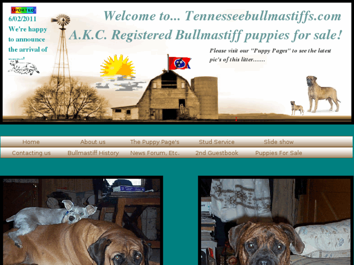 www.tennesseebullmastiffs.com