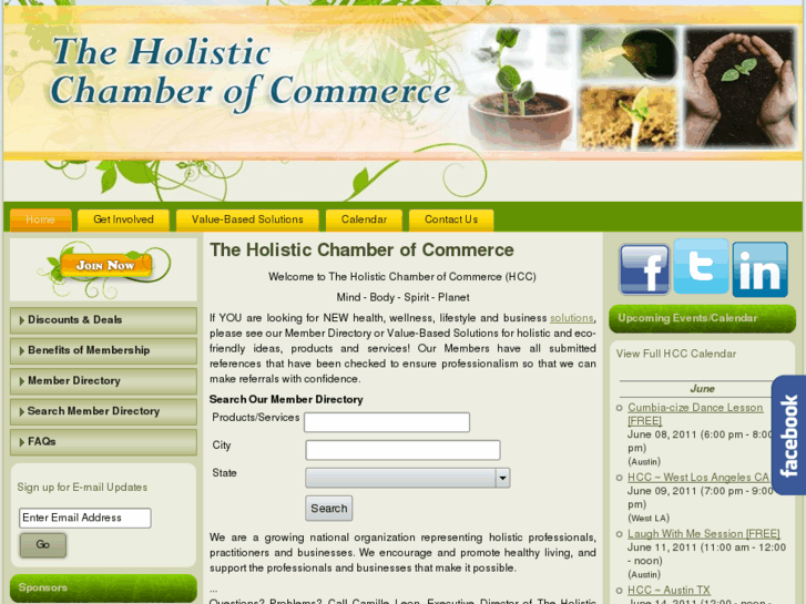 www.theholisticchamberofcommerce.org