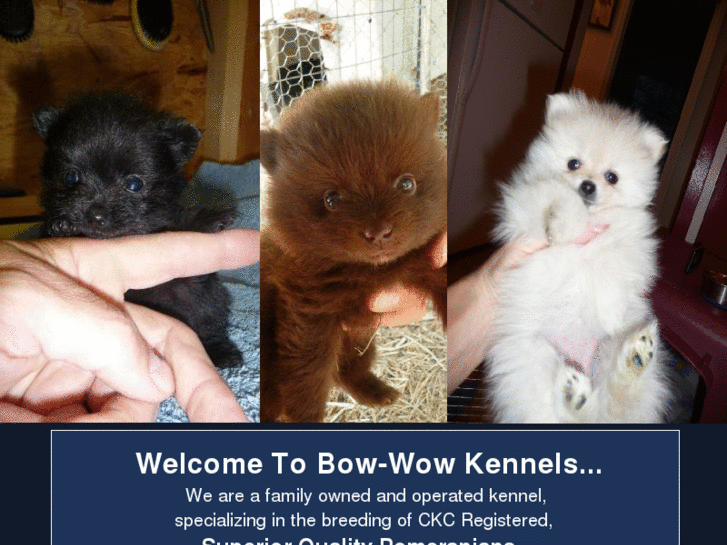 www.bow-wowkennels.com