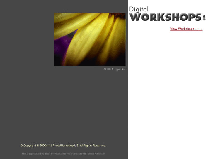 www.digitalworkshops.net