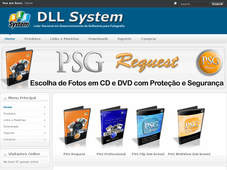 www.dllsystem.com