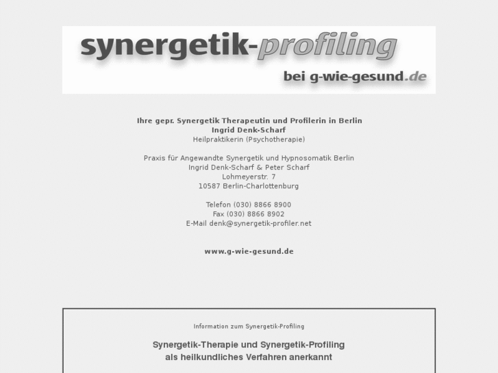 www.synergetik-profiler.net