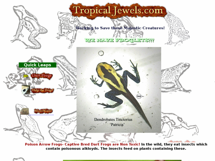 www.tropicaljewels.com