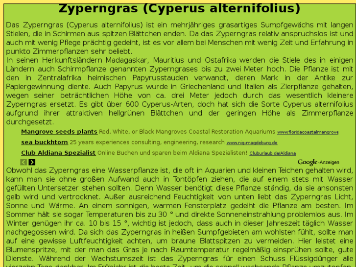 www.zyperngras.de