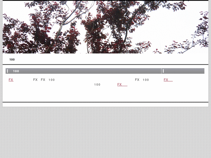 www.codex-iuris.com