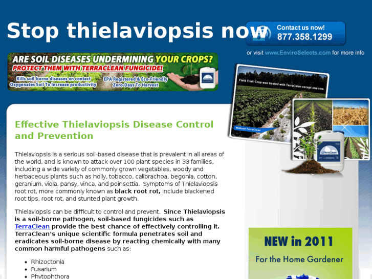 www.controlthielaviopsis.info