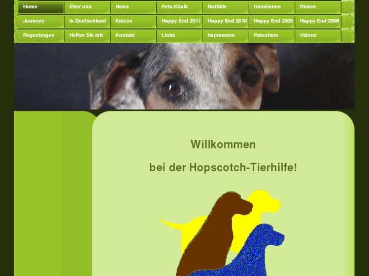 www.hopscotch-tierhilfe.org