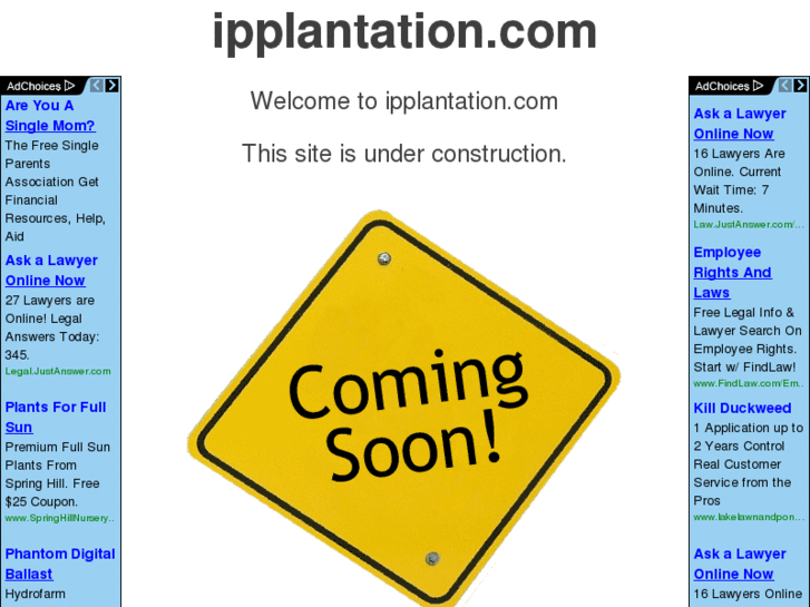 www.ipplantation.net