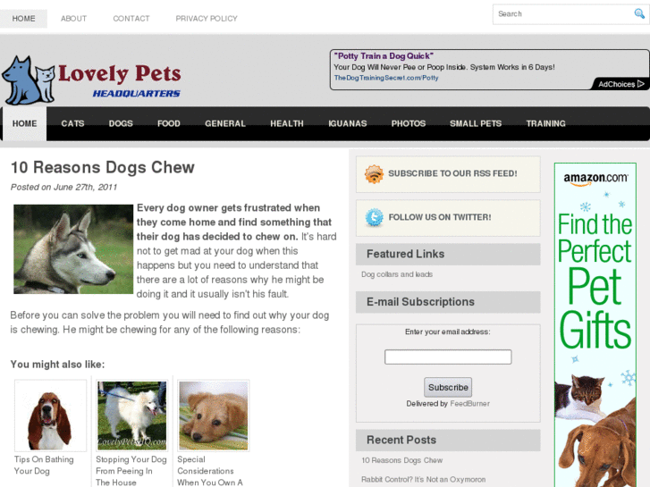 www.lovelypetshq.com