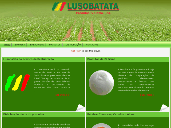 www.lusobatata.com