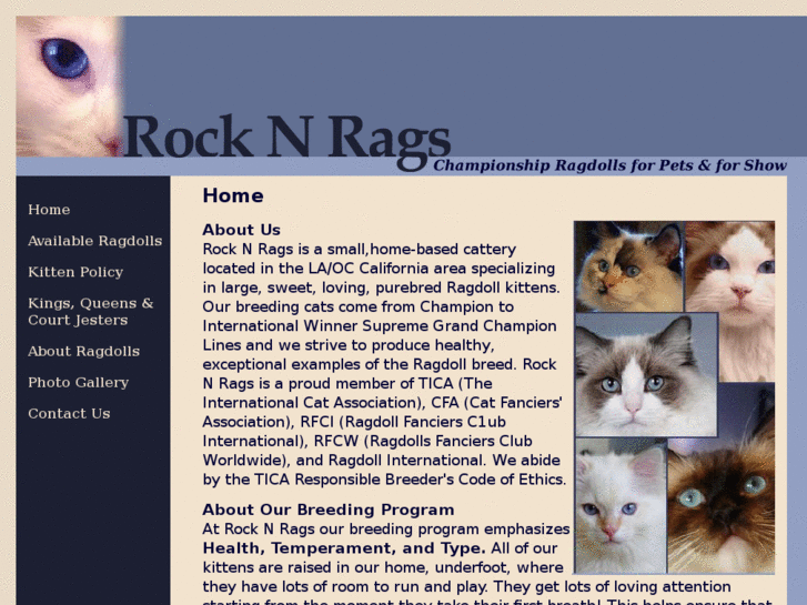 www.rocknragsragdolls.com