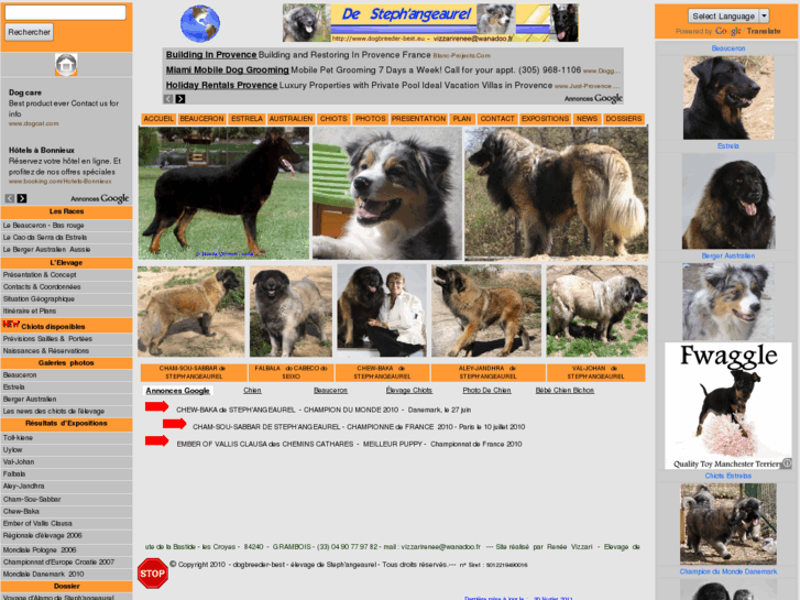 www.dogbreeder-best.eu