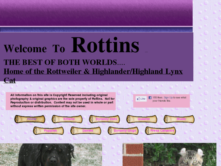 www.rottins.com