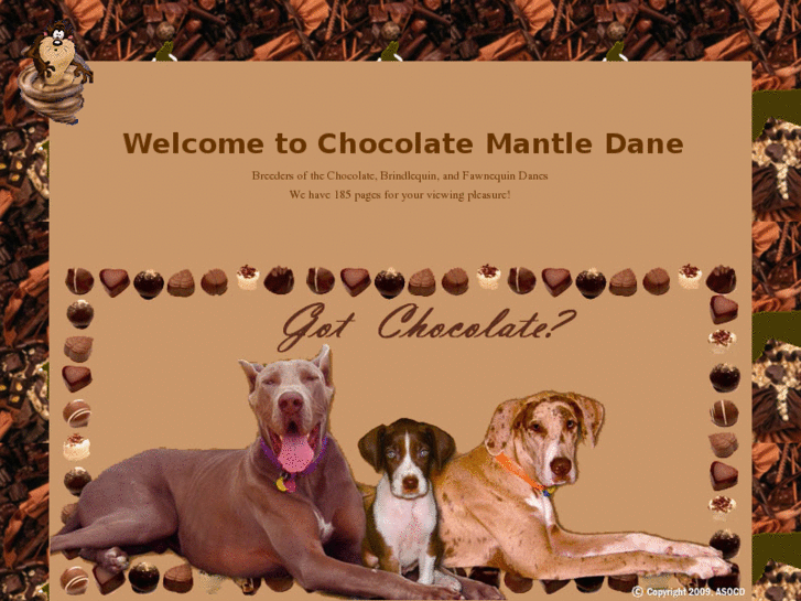 www.chocolatemantledane.com