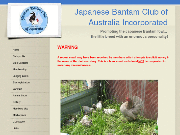 www.japanesebantamclubaustralia.com