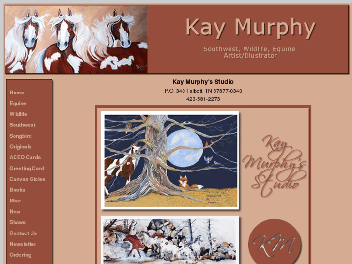 www.kaymurphysstudio.com