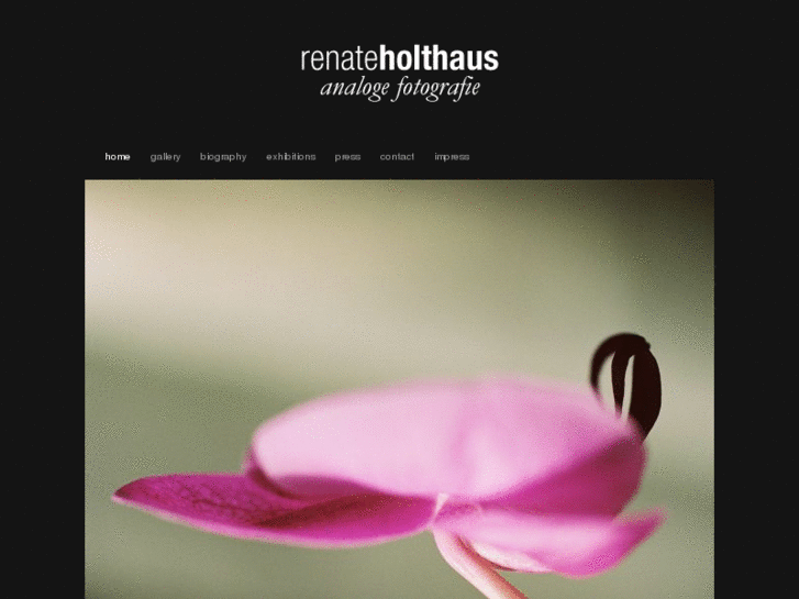 www.renateholthaus.com