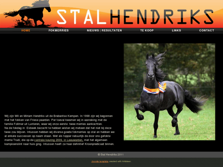 www.stalhendriks.com