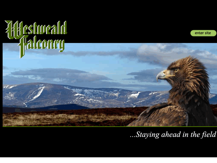 www.westwealdfalconry.co.uk