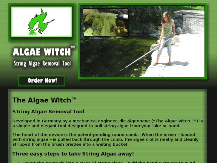 www.algaewitch.com
