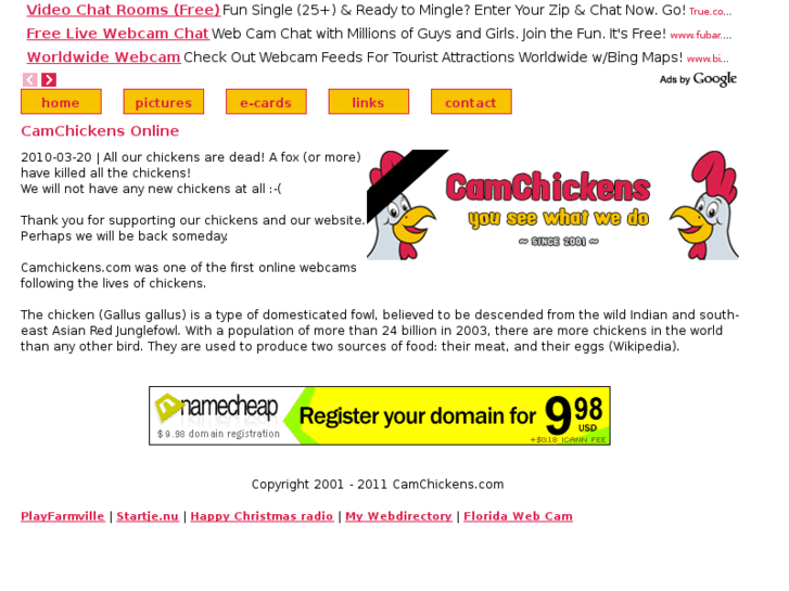 www.camchickens.com