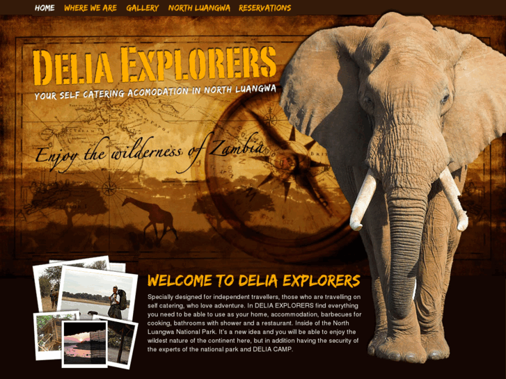 www.deliaexplorers.com