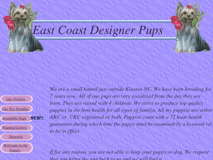 www.eastcoastdesignerpups.com