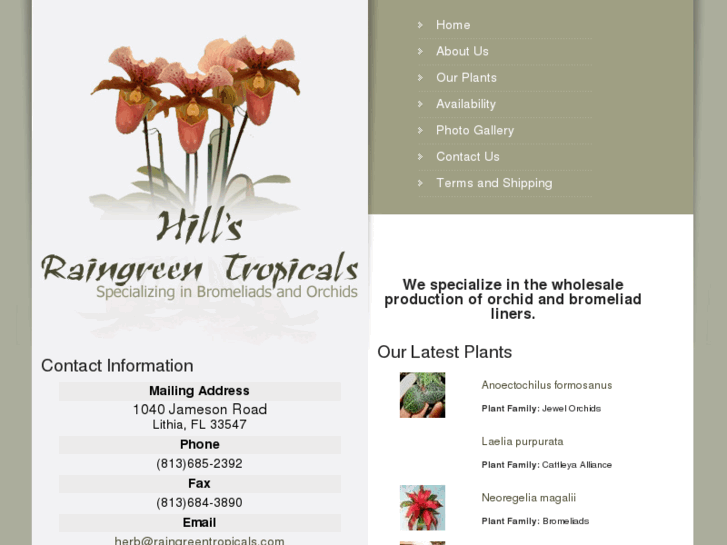 www.hillsraingreentropicals.com