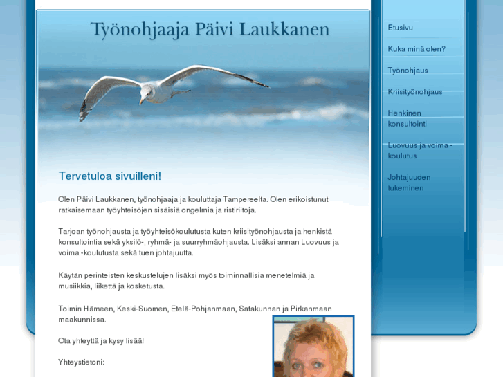 www.paivilaukkanen.com