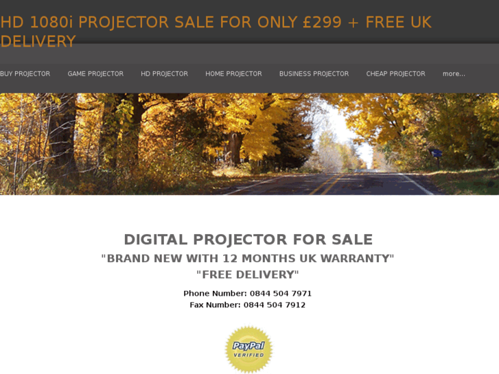 www.projectorsale.org.uk