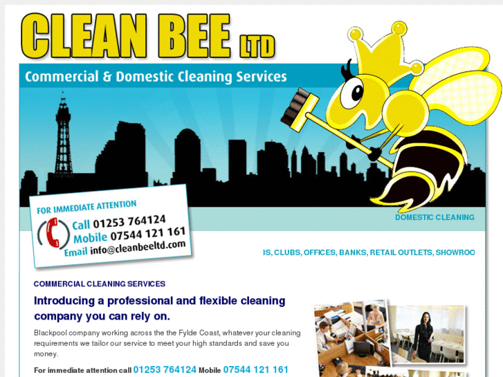 www.cleanbeeltd.com