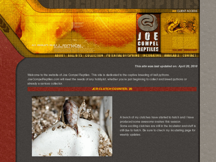 www.joecompelreptiles.com