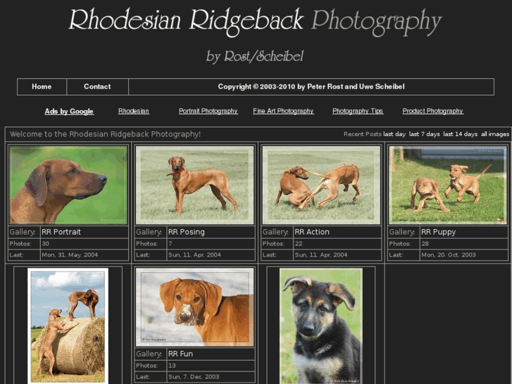 www.rhodesian-ridgeback-photo.net