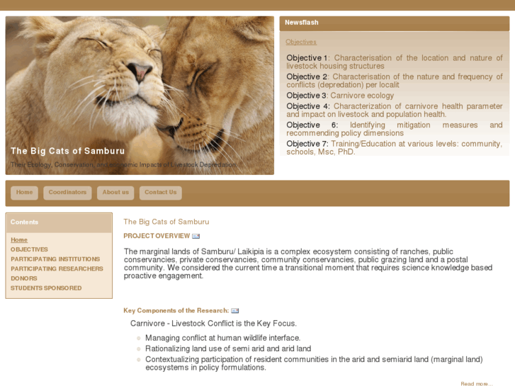 www.bigcatsproject.org