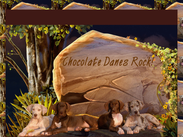 www.chocolategreatdanesrock.com