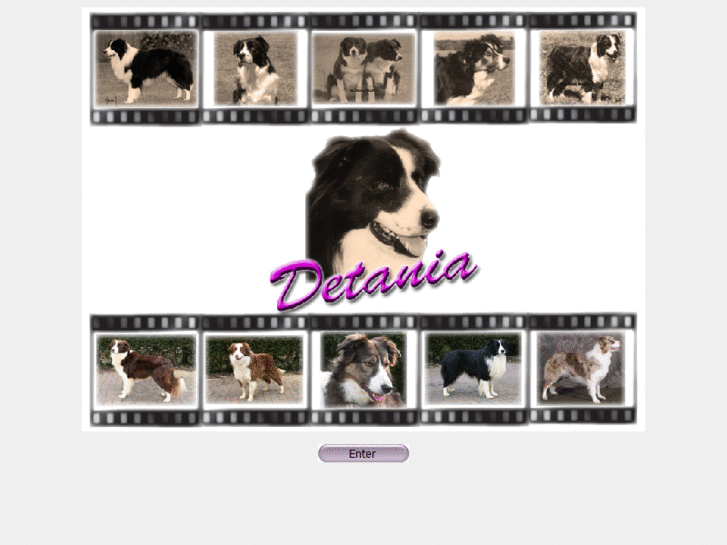 www.detania.com