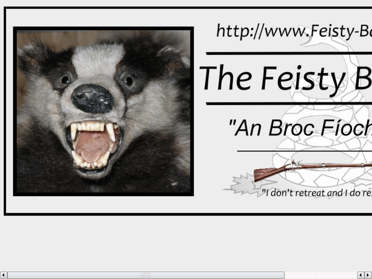 www.feisty-badger.net