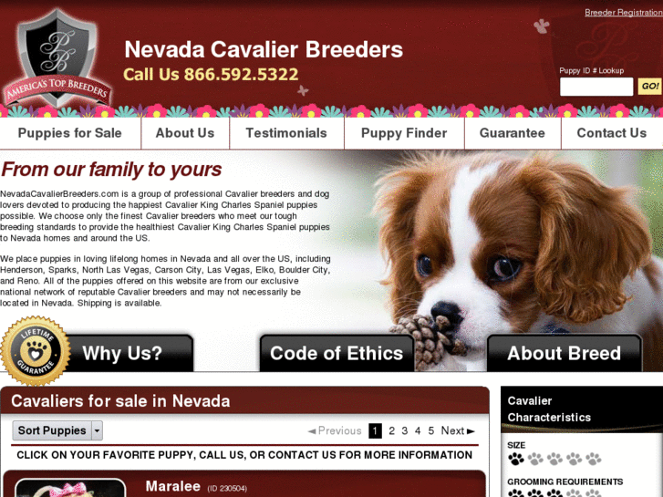 www.nevadacavalierbreeders.com